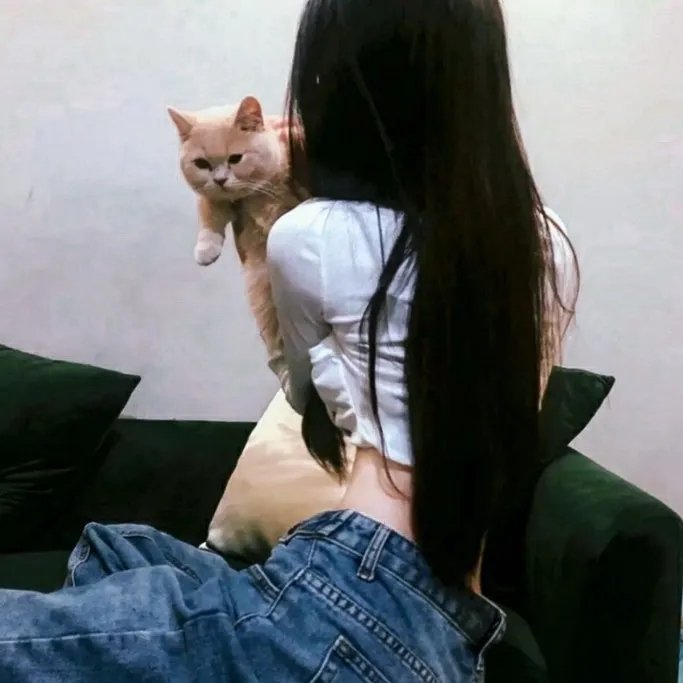 十全九美之真爱无双